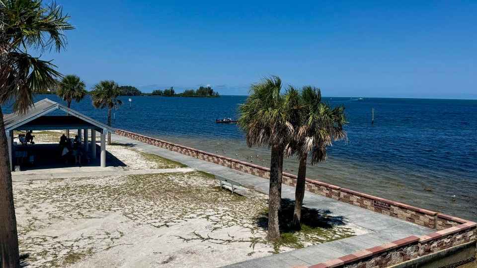 Vereinigte Staaten - Tampa - 