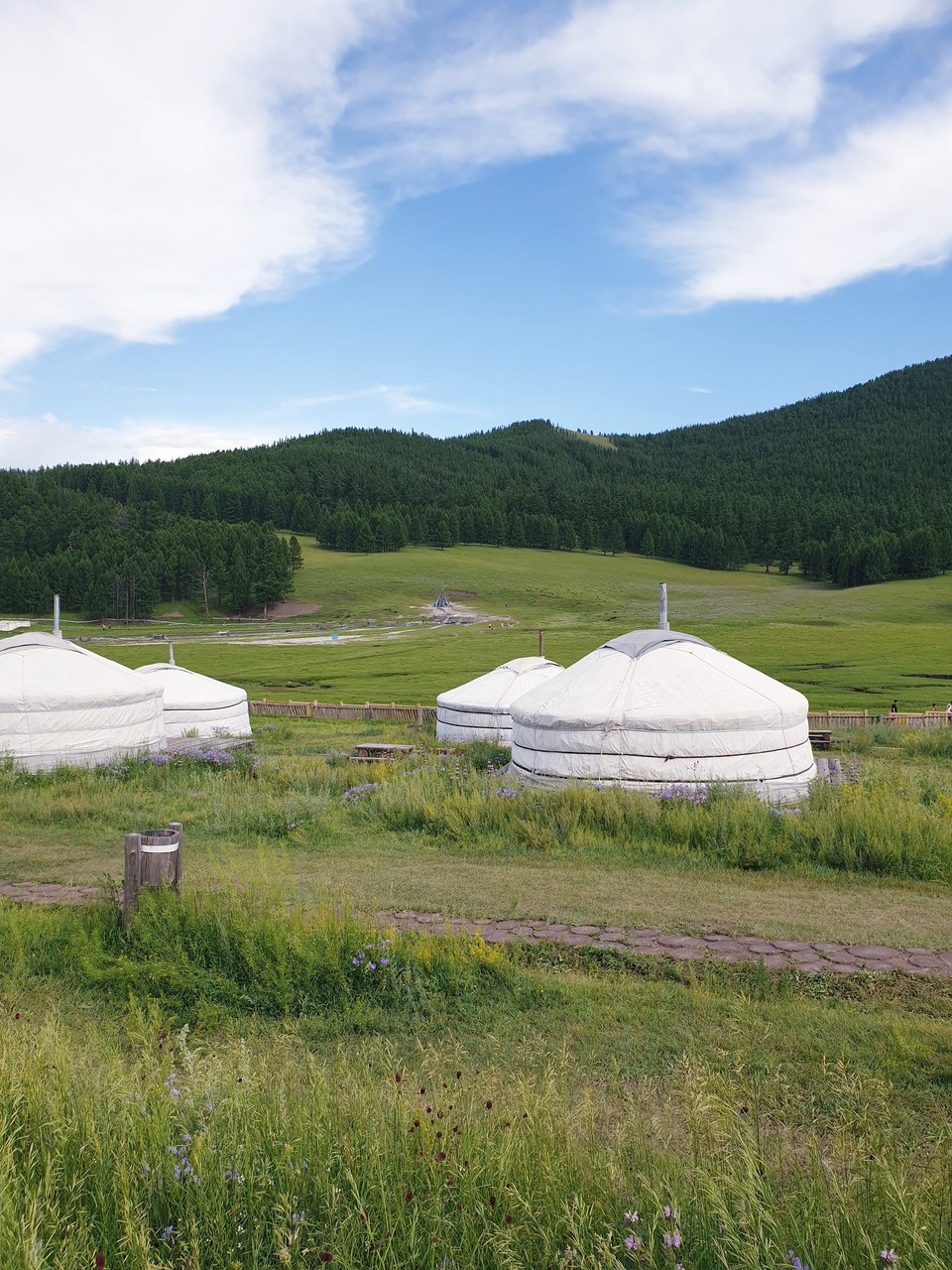 Mongolia - Kharkhorin - View from the Ger - Tsenkher hot springs