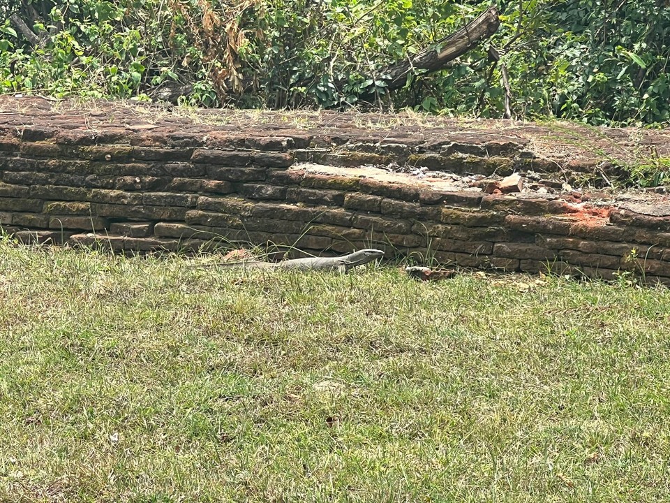 Sri Lanka -  - 