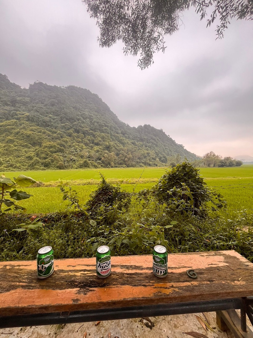 Vietnam - Bo Trach - Carried on the bike round and found another cute home stay and had a beer here before heading back to our hostel. Got our stuff together and had a shower 