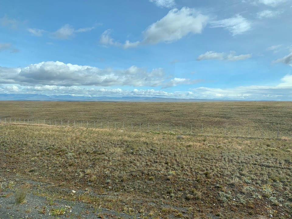 Chile - Puerto Natales - 