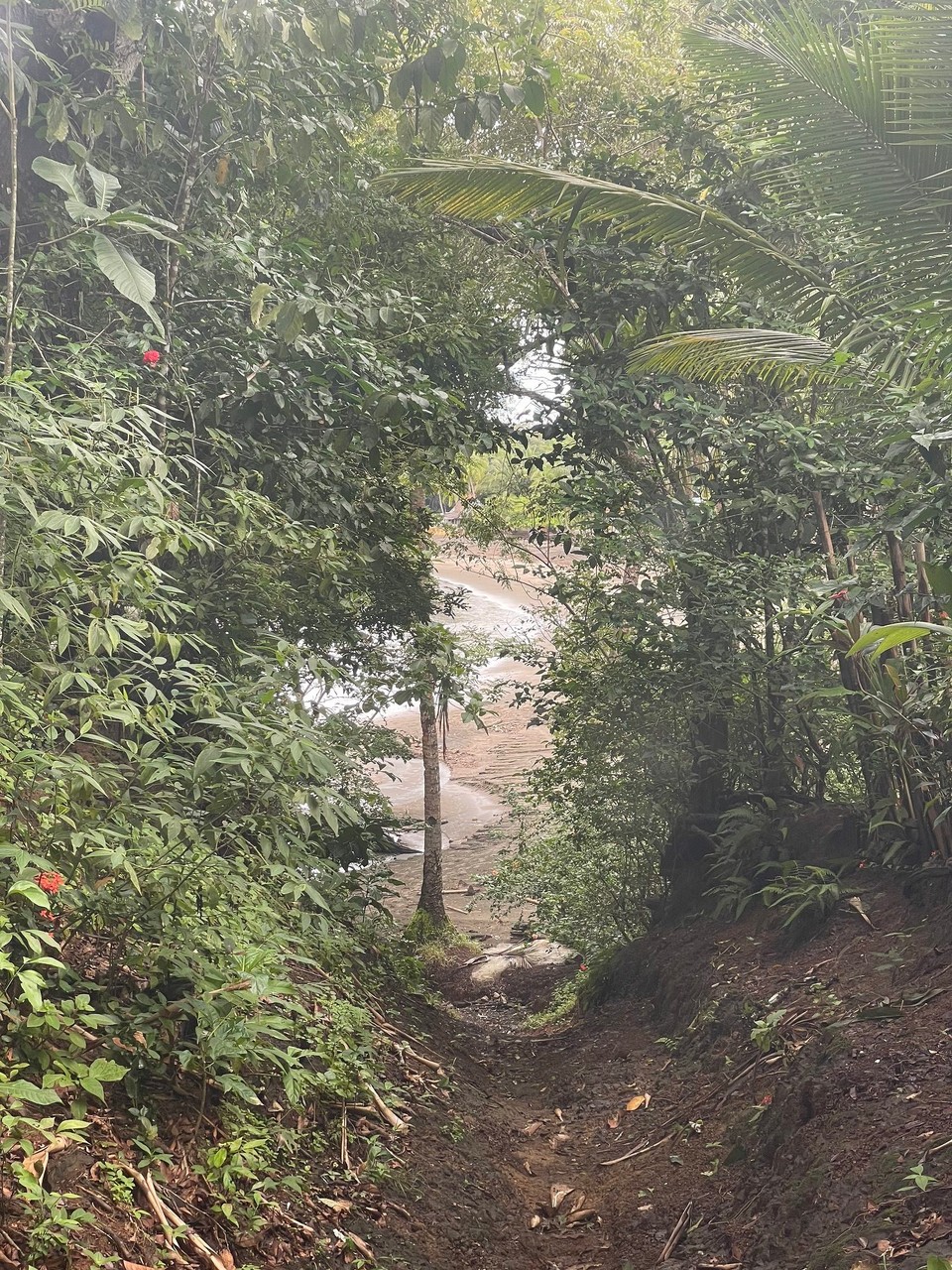Panama - Boquete - Tschüss Santa Catalina 👋🏻

➡️ Nächste Station ist das kleine Städtchen Bajo Boquete 🛖⛰️, wo es die besten ☕️-Bohnen des Landes geben soll 🤫