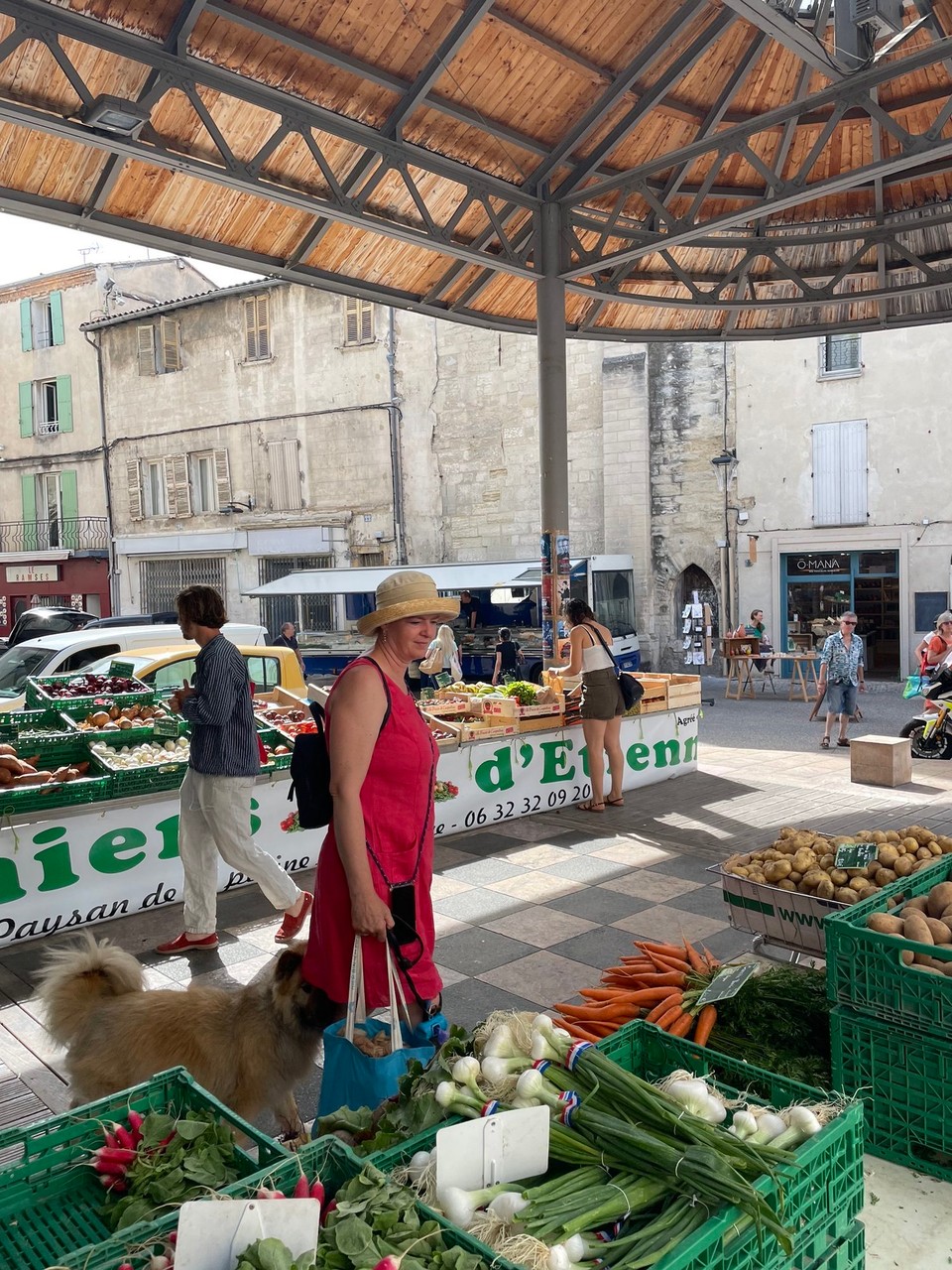 Frankreich - Sault - 