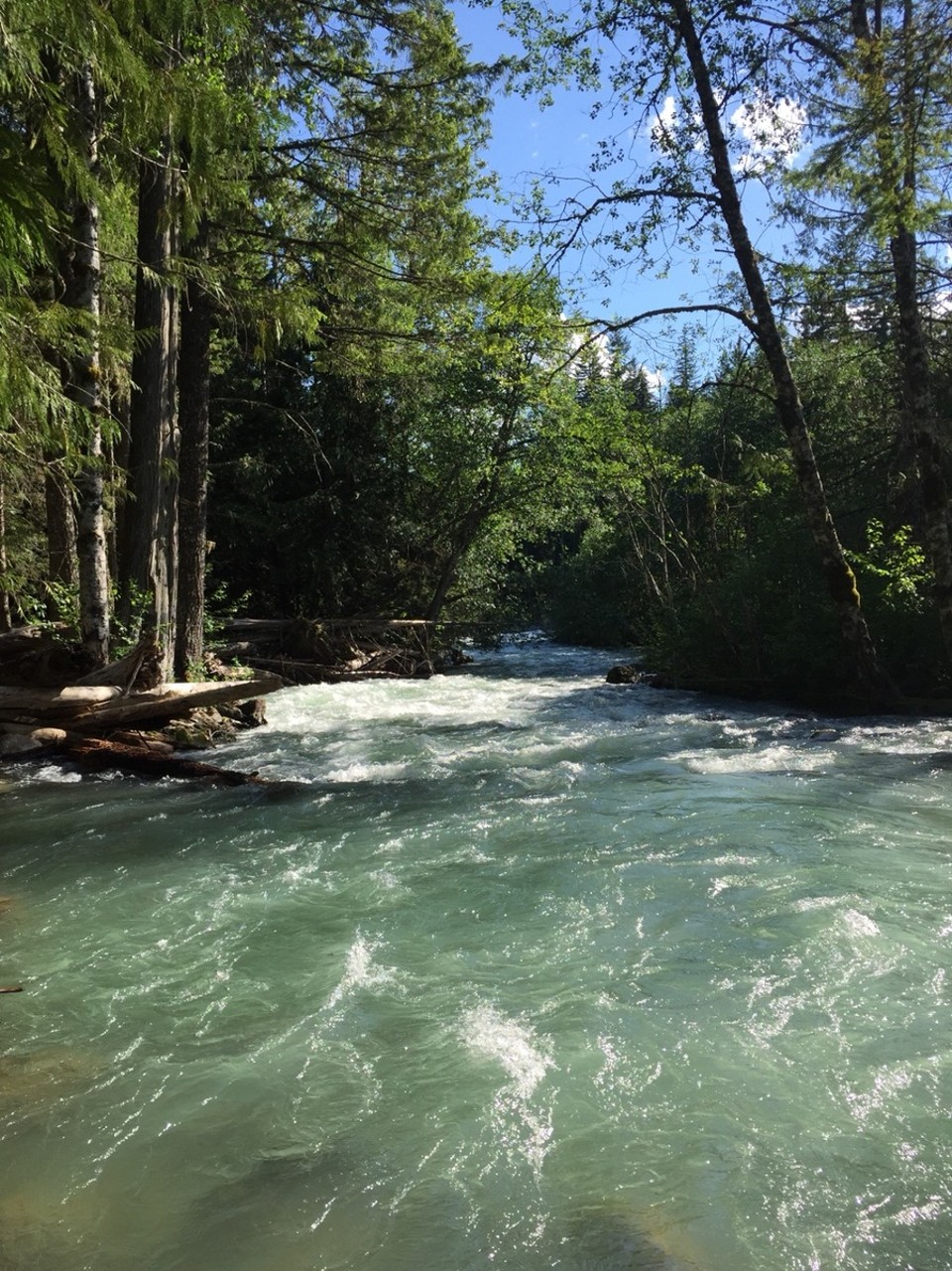 Canada - Whistler - Beekje bij de campground.