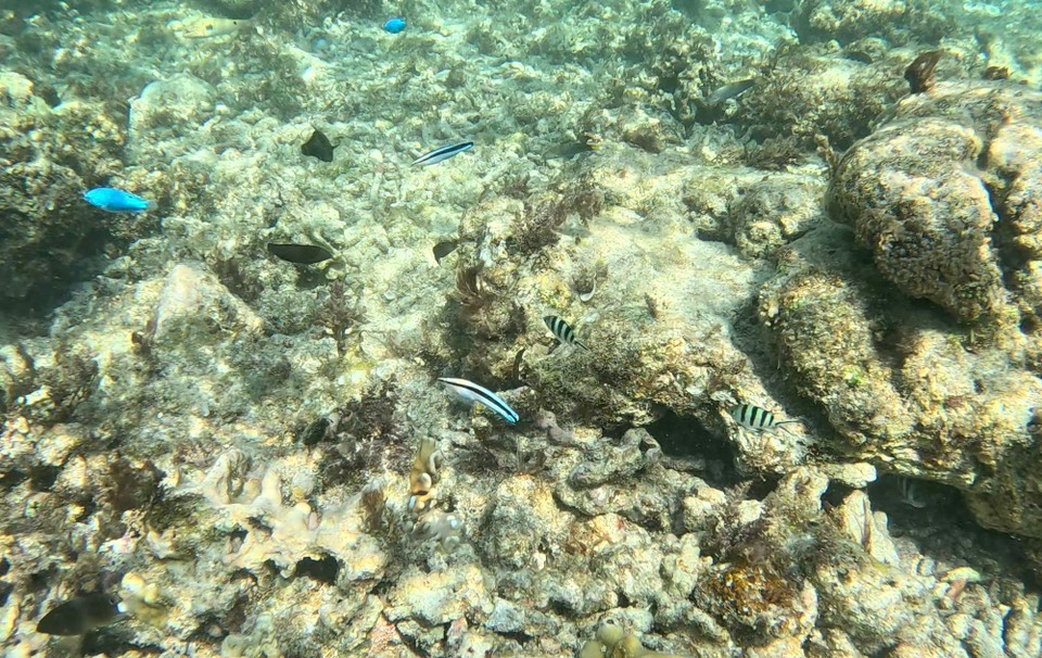 Indonesien - Kabupaten Lombok Utara - Wir hatten unsere Schnorchel mitgenommen und wollten das Meer vor dem Hotel erkunden, nach 50m hatten wir immer noch festen Boden unter den Füßen, so flach ist das Wasser am Strand.