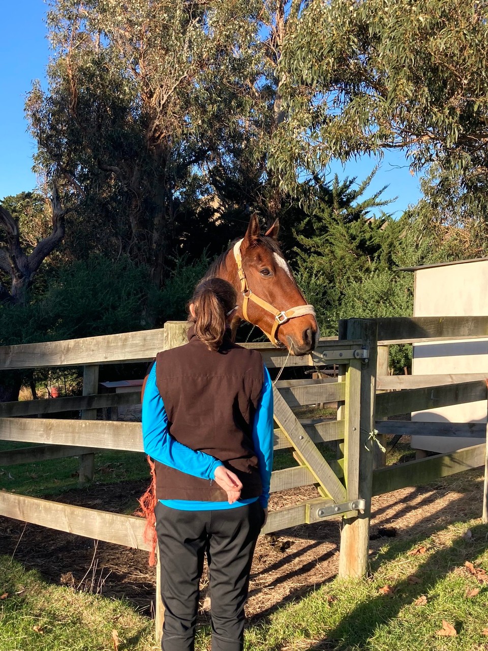 Neuseeland - Ward - Erstmal ein bisschen reden 🤪
Rambo ist aber nicht so leicht zu reiten, deshalb darf er nur vom Rand zuschauen 😅