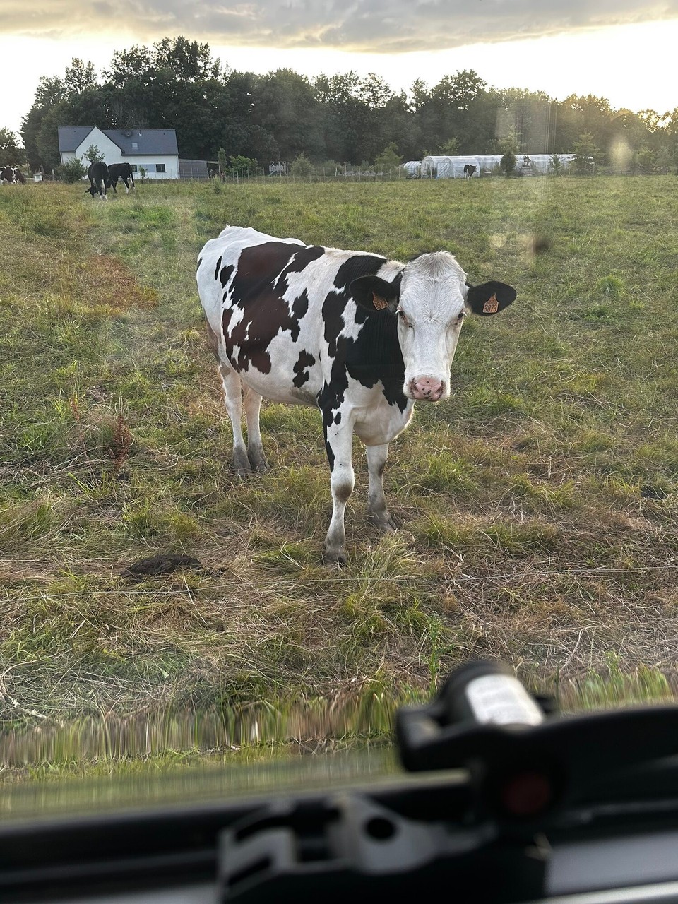 Frankreich - Carnac - 