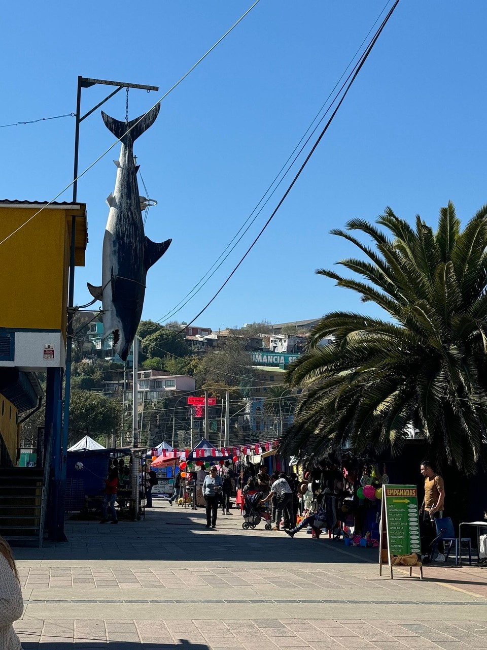 Chile - Santiago de Chile - Valparaiso