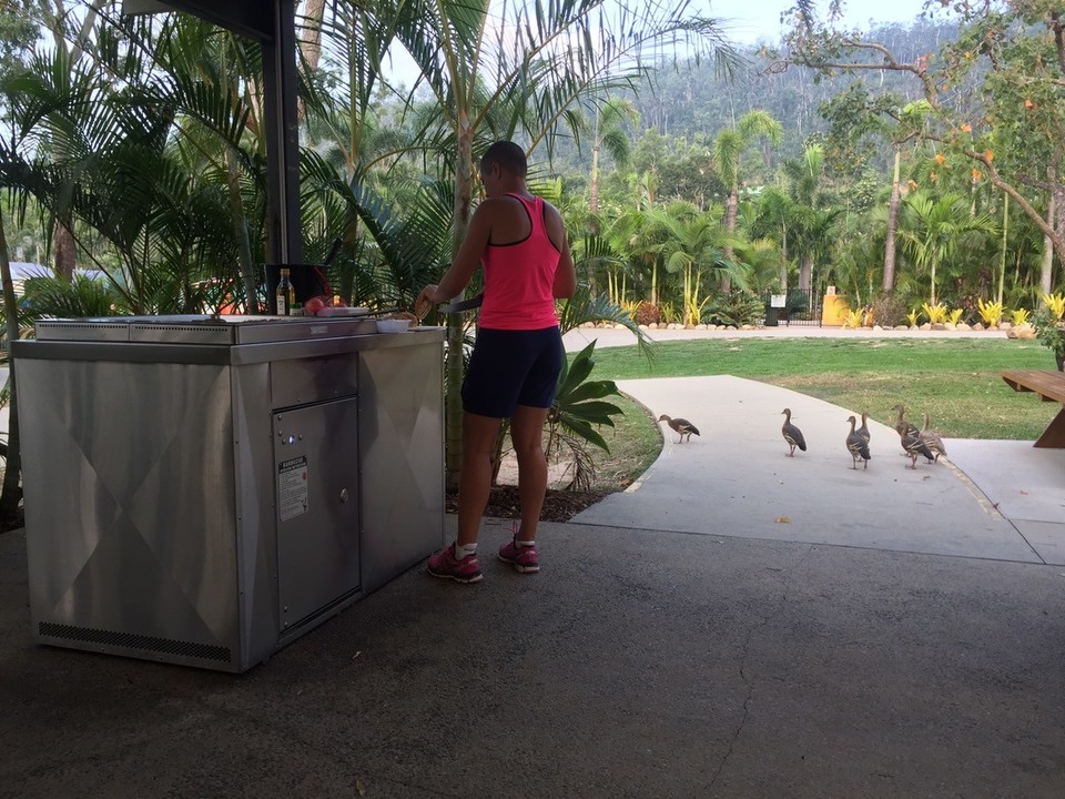  - Australia, Airlie Beach, Seebreeze Tourist Park - 