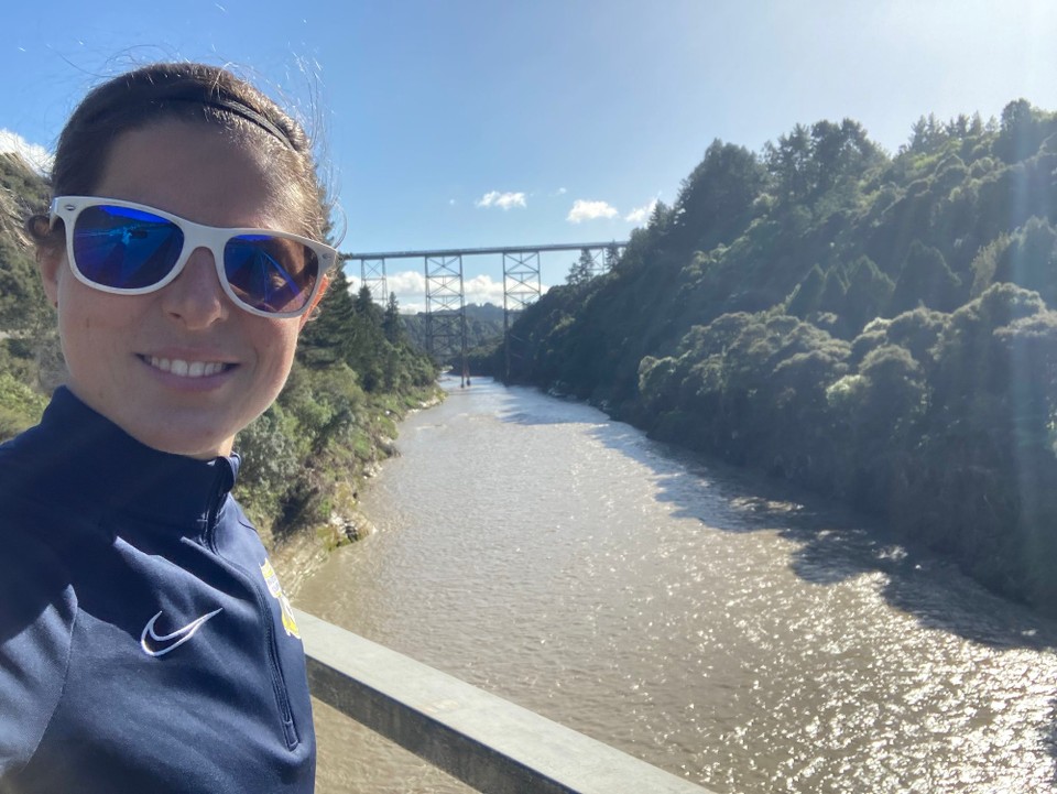 Neuseeland - Napier - Größtes Viadukt von Australasia