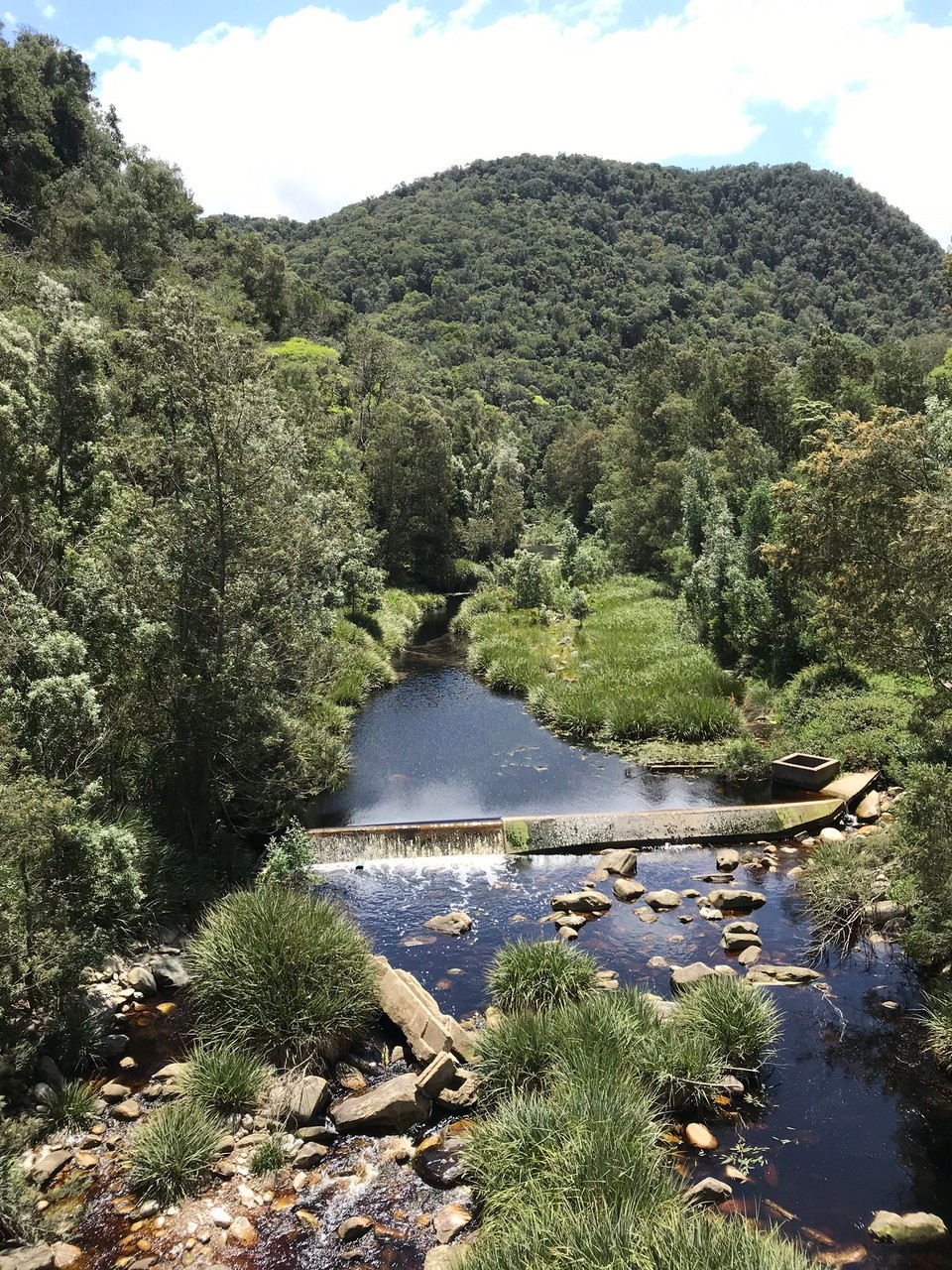 Südafrika - Wilderness - 