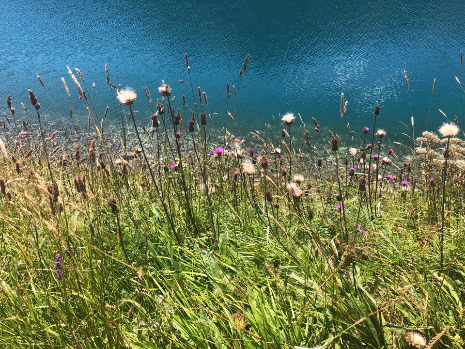 Schweiz - St. Moritz - 