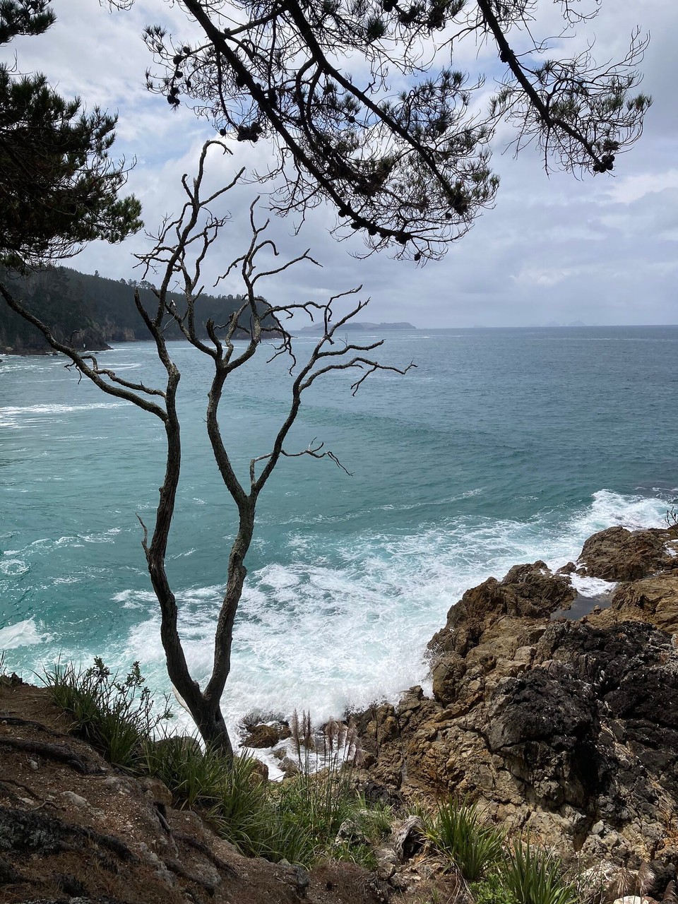 Neuseeland - Whangamata - 