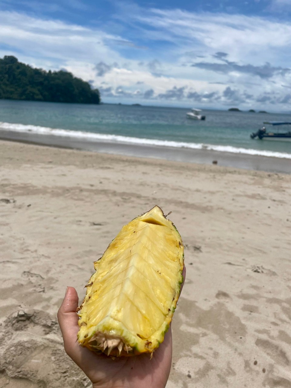 Panama -  - … and of course 🍍 