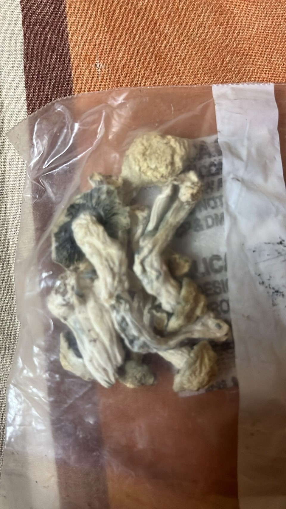 הודו - Arambol - 