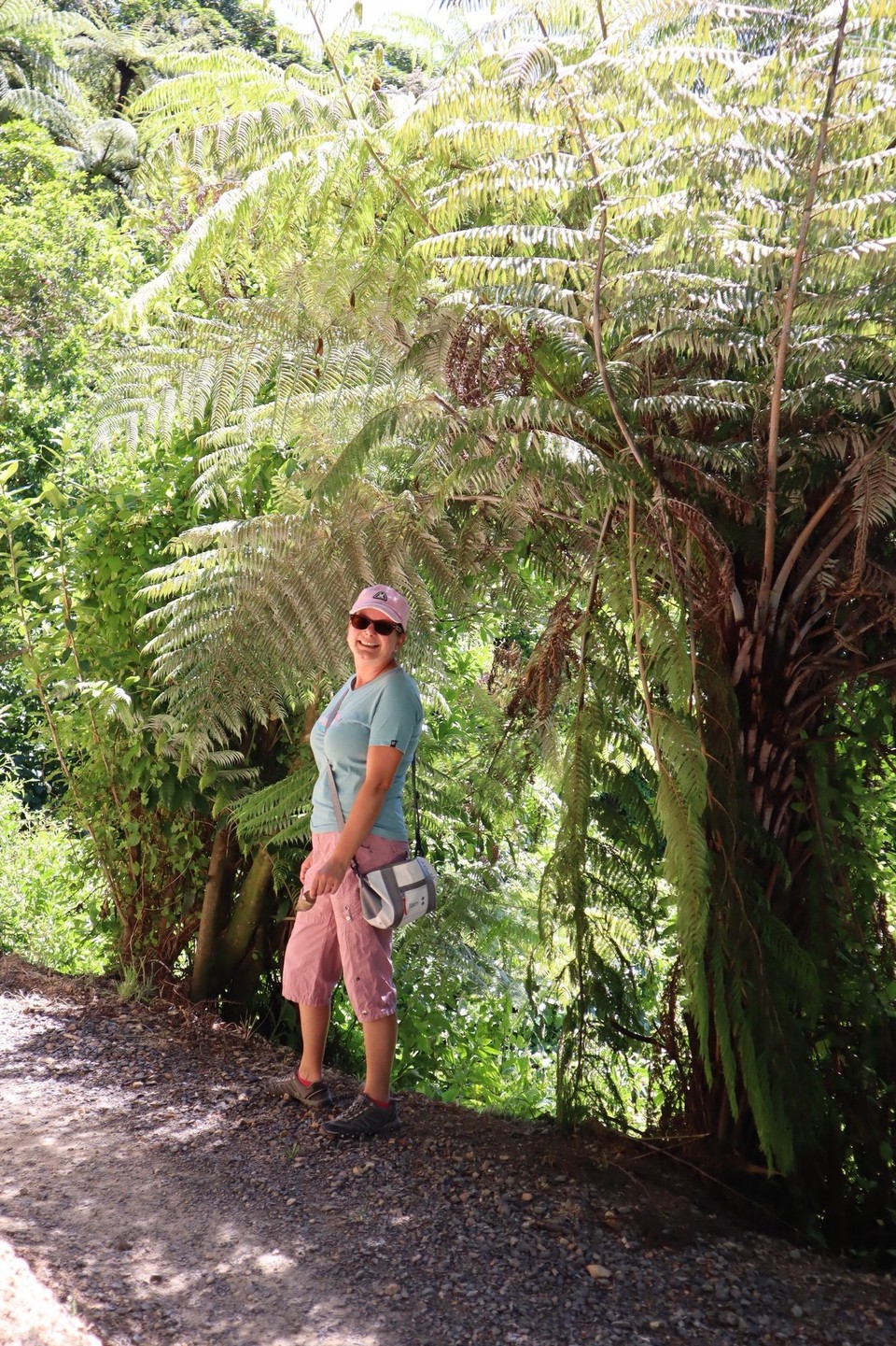 Neuseeland - Picton - 