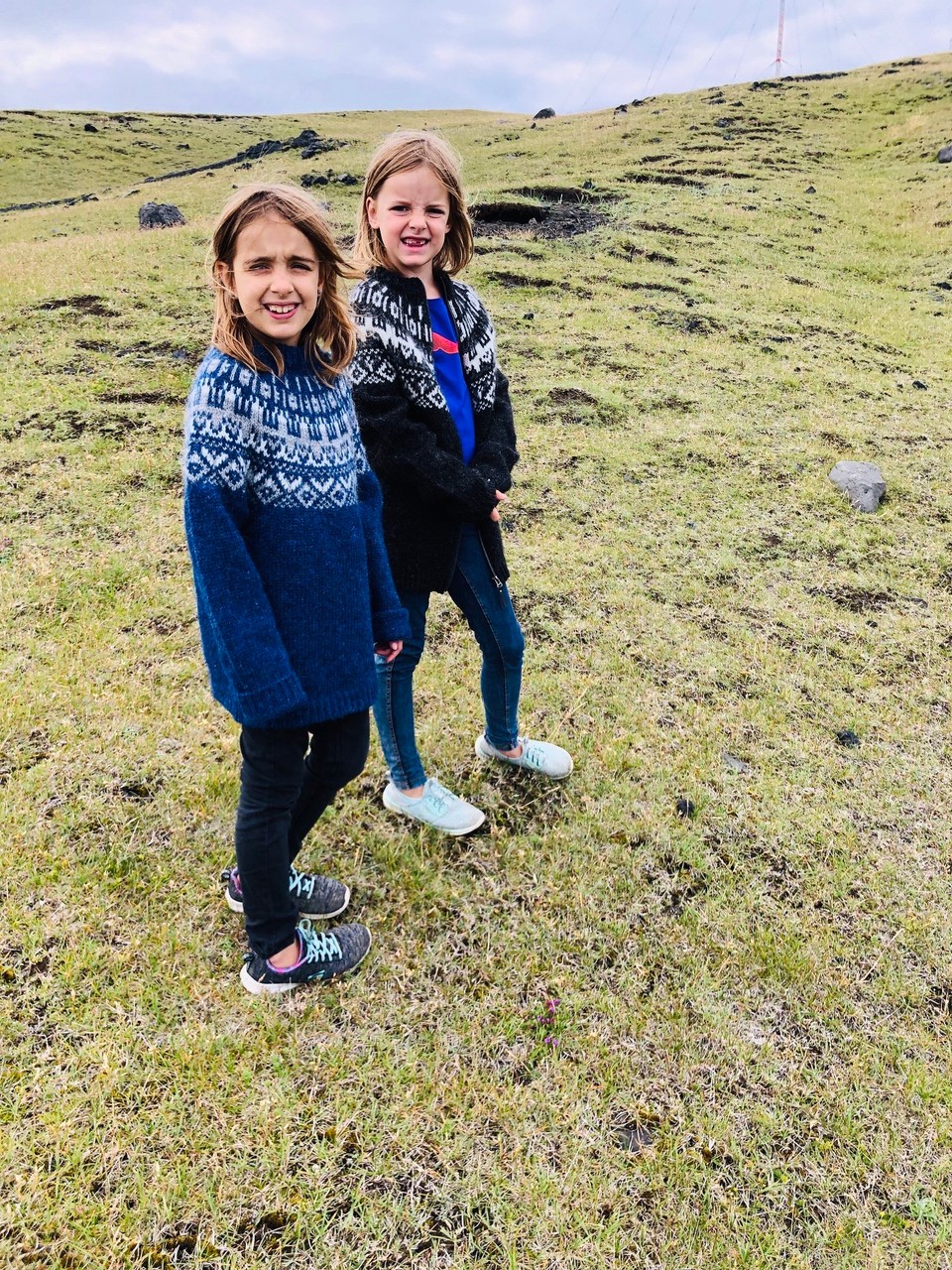 Island - Vestmannaeyjar - Mal sehen, was die beiden aushecken…