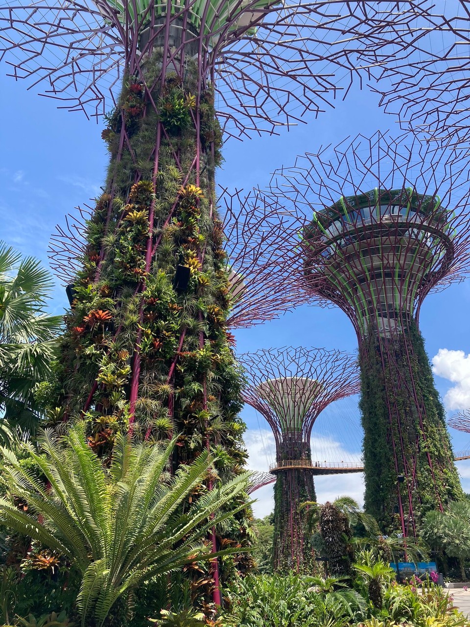 Singapur - Singapur - OCBC Skyway