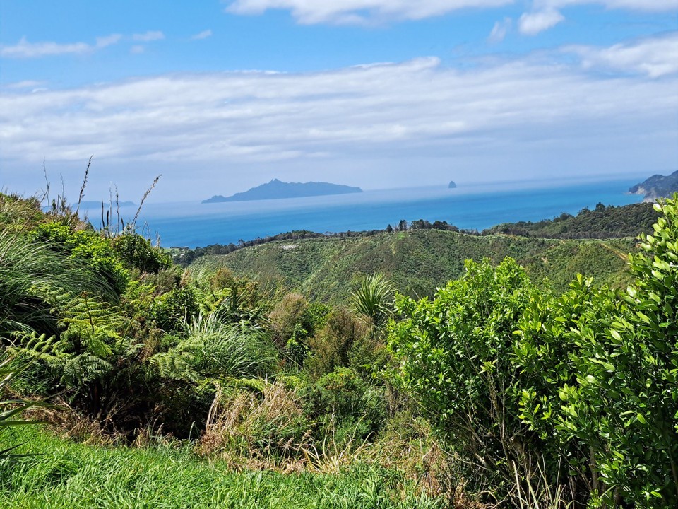 Neuseeland - Mangawhai - Und dann wieder den Berg rauf 