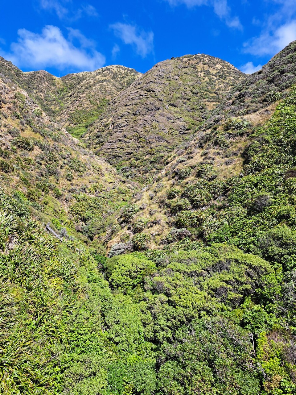 Neuseeland - Porirua - 