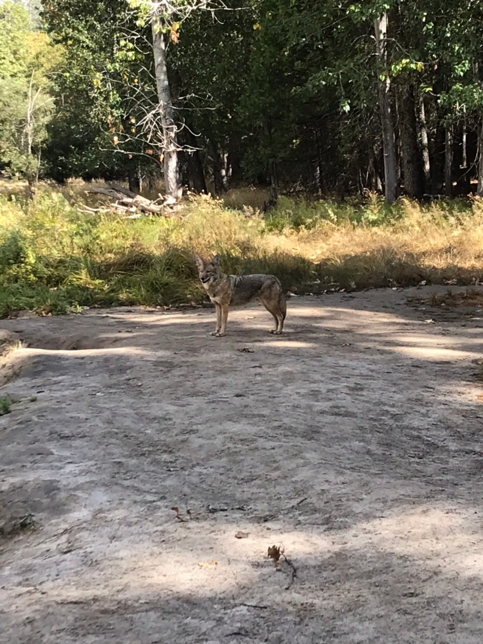 Vereinigte Staaten - Yosemite National Park - 
