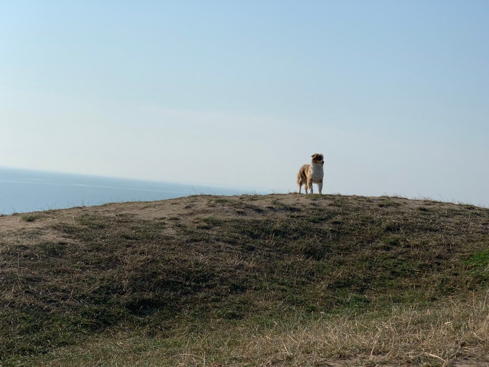 Sverige - Ystad - 