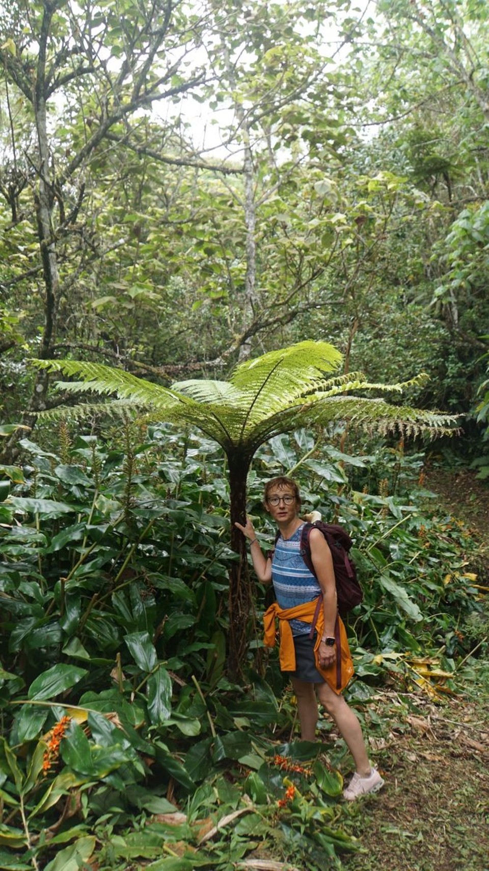 Réunion - Cilaos - 