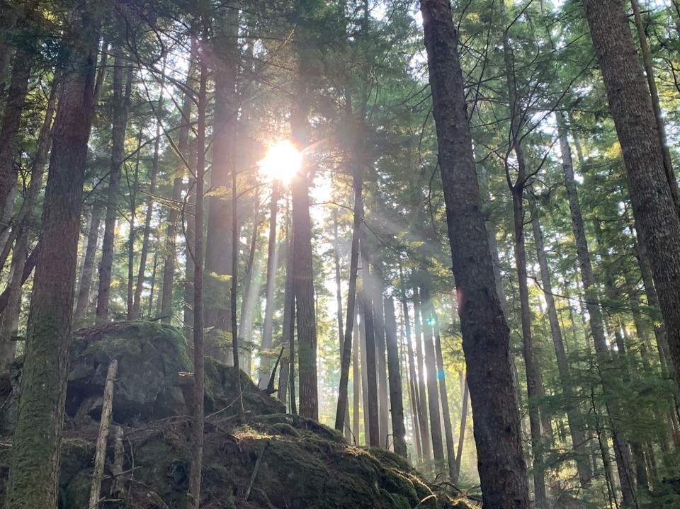 Kanada - Mount Waddington A - 