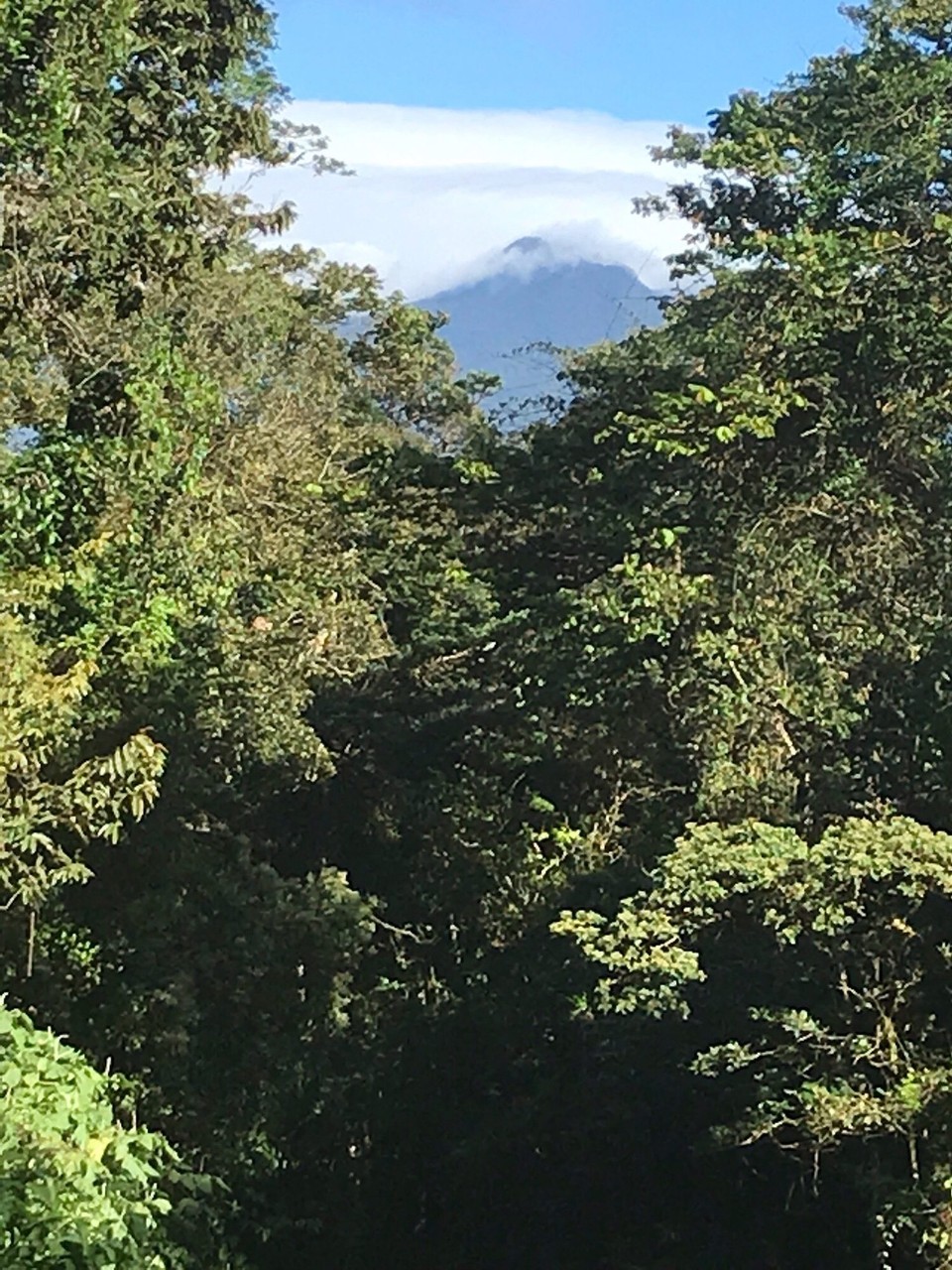 Costa Rica - Liberia - 