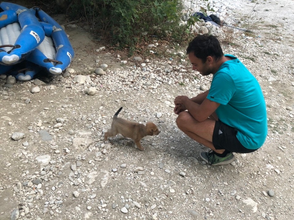 Griechenland - Acherontas - Wir haben ja schon viele süße herumstreunende Hunde und Katzen auf unserer Reise gesehen aber dieser Welpe, den wir zwischen den zurückgelassenen Kanus gefunden haben, toppt alles bisherige.
Zum Glück war die Mutter noch bei ihm, die uns vertraute und mit ihm spielen lies 😬