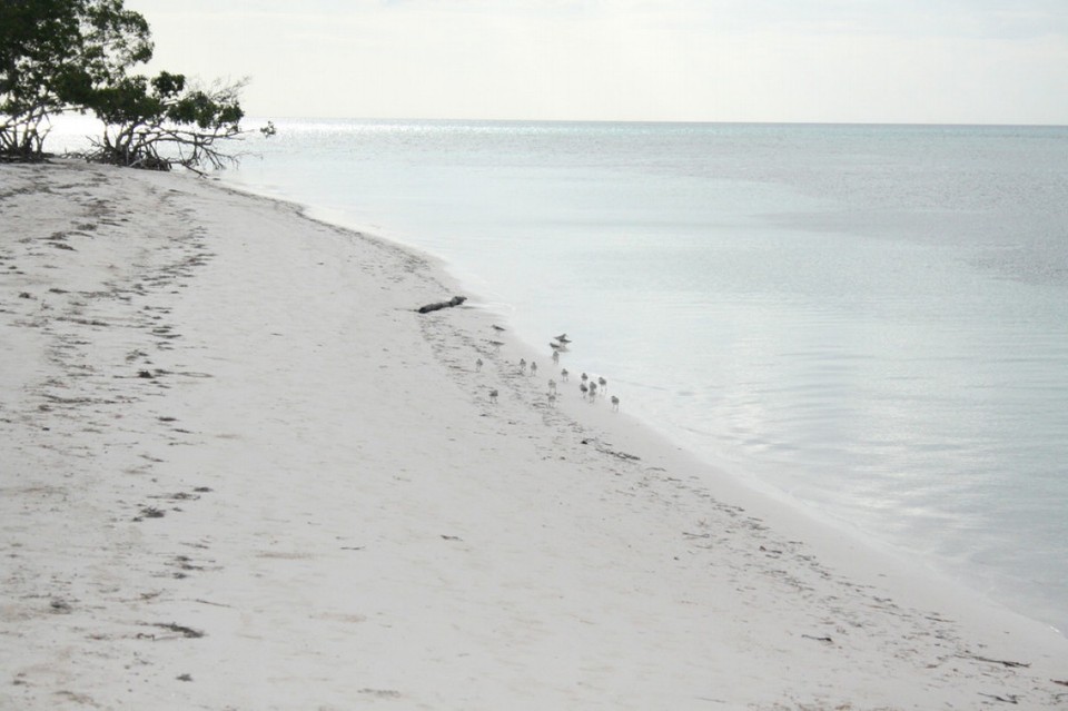 Kuba - Cayo Jutías - 