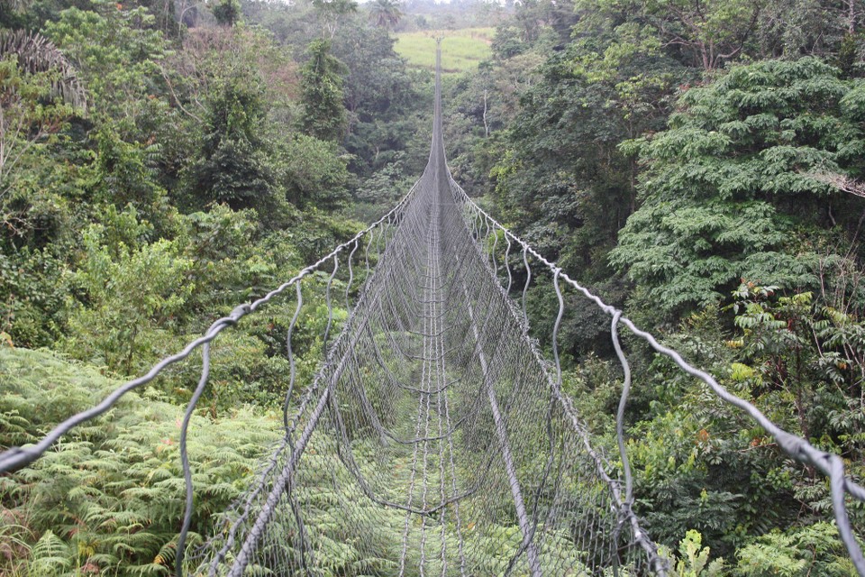 Gabun - Franceville - Brücke über den Urwald