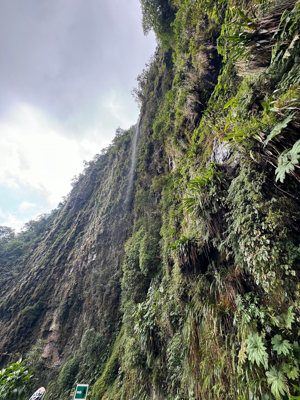 Bolivien - La Paz - Regenwalddusche