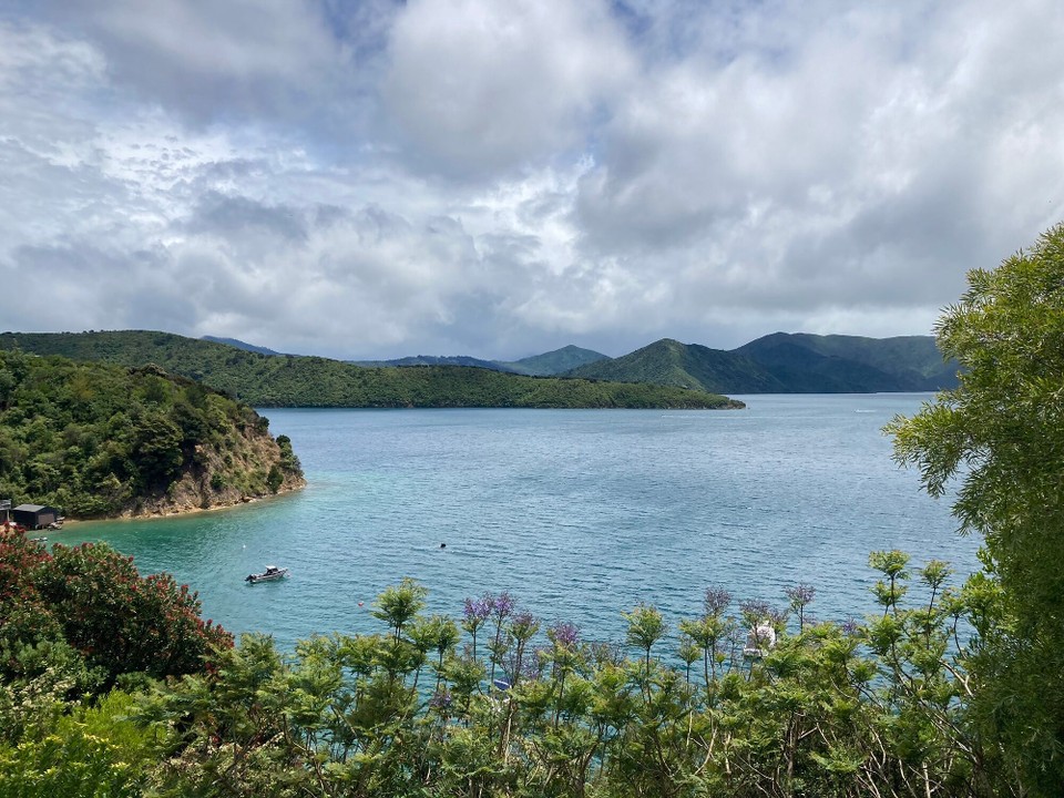 Neuseeland - Picton - 