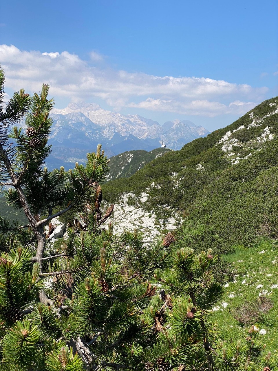 Slowenien - Bohinj - 