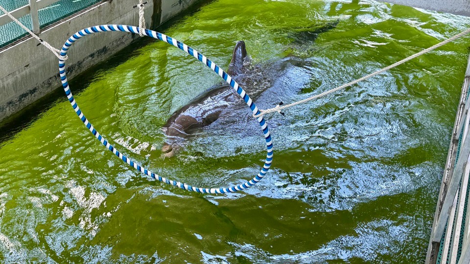 Vereinigte Staaten - Islamorada - 