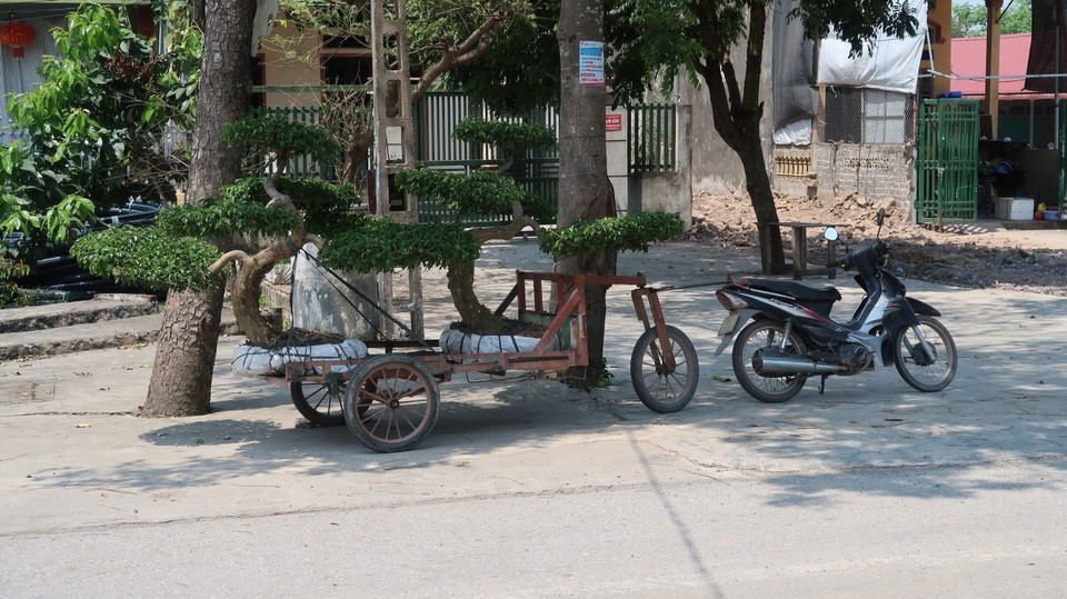 Vietnam - Ninh Bình - 