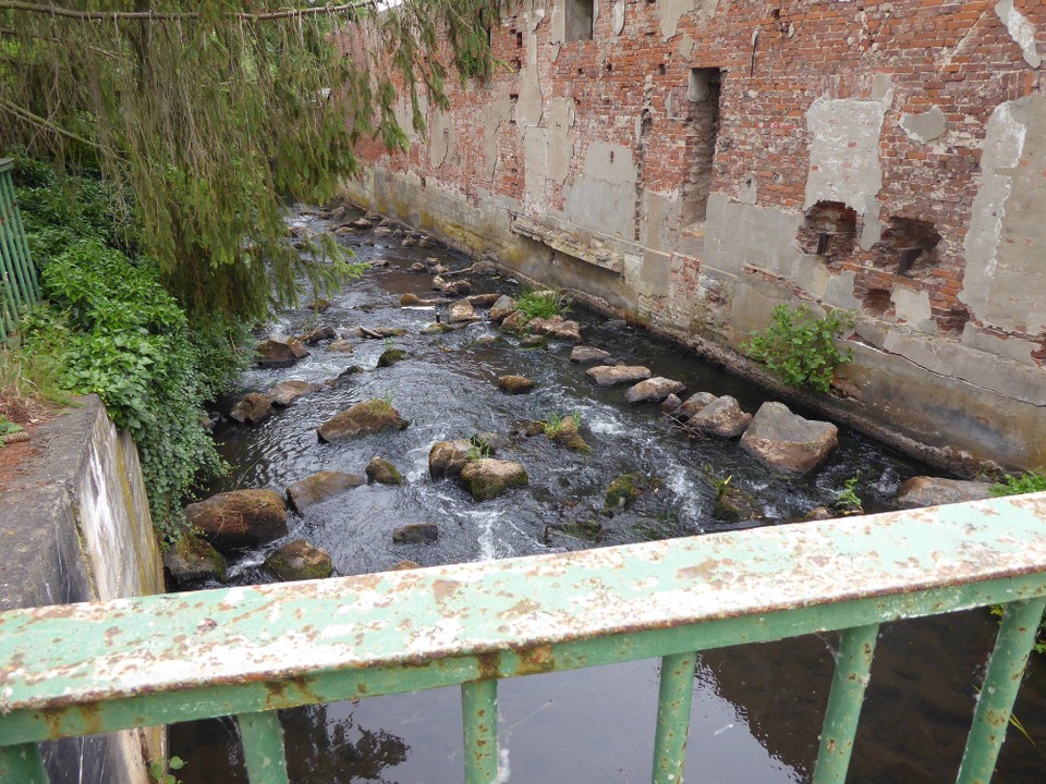 Deutschland - Dessau-Roßlau - Auf den ersten Blick ein idyllisches Lost-Place-Bächlein,...