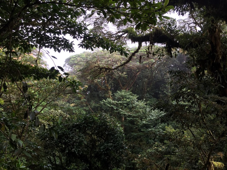 Costa Rica -  - 