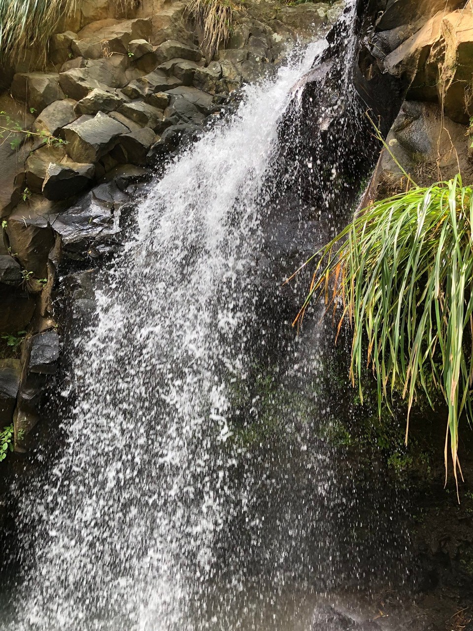 Grenada -  - Der Wasserfall