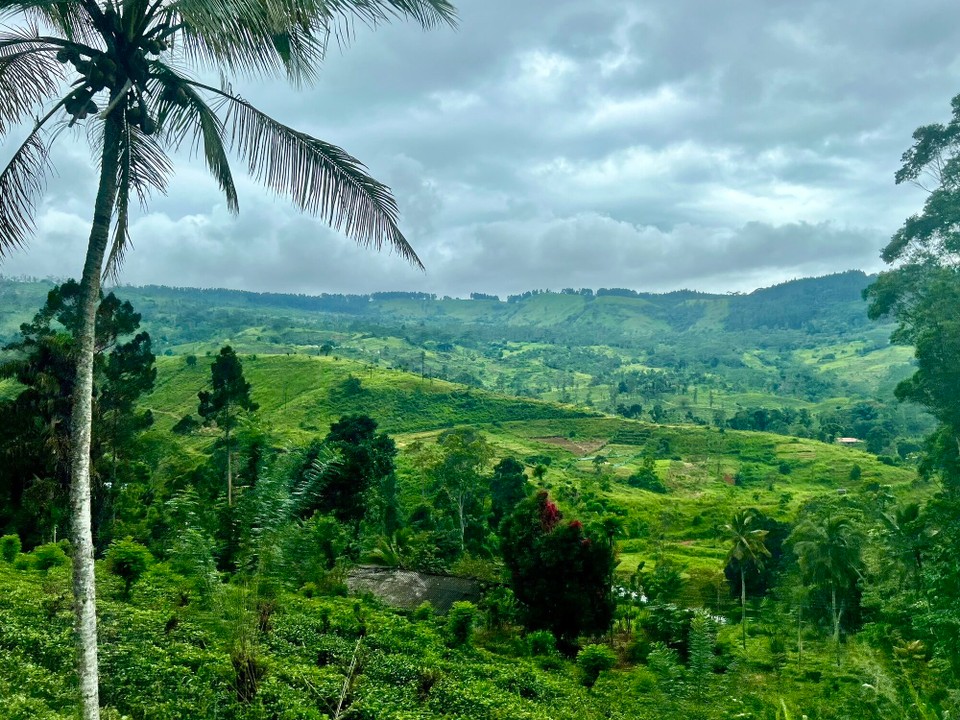 Sri Lanka -  - 
