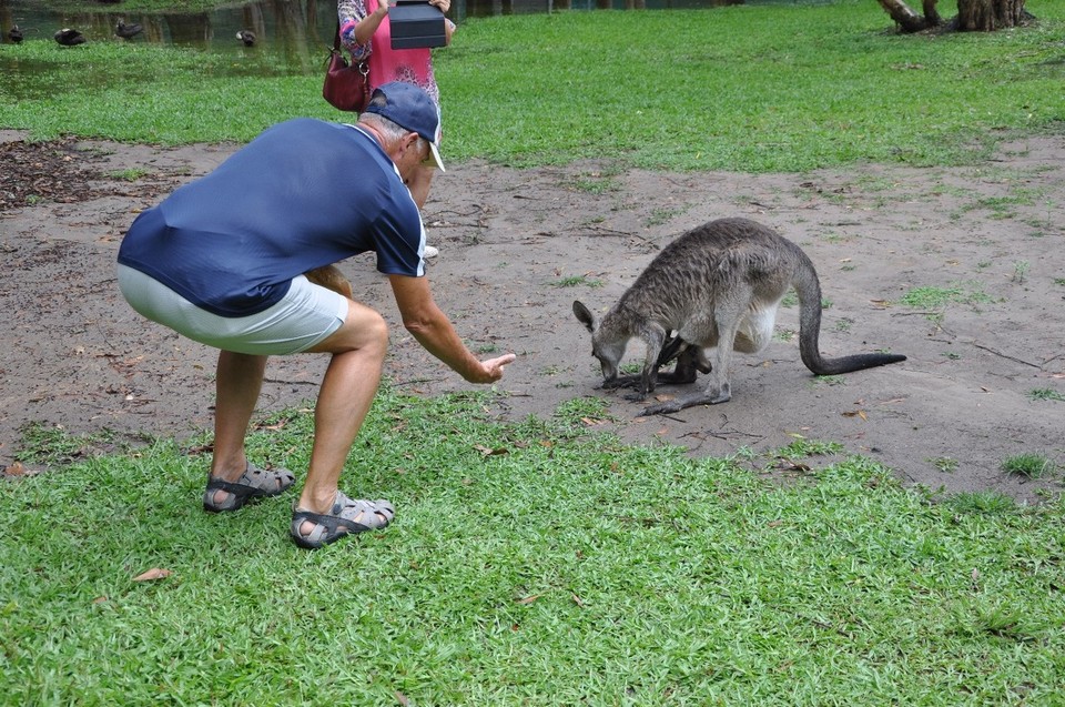 Australien - Noosa Heads - 