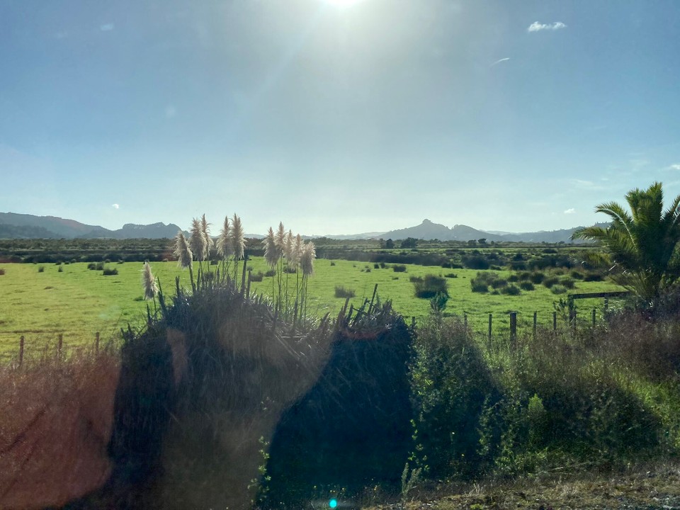 Neuseeland - Waipu - 