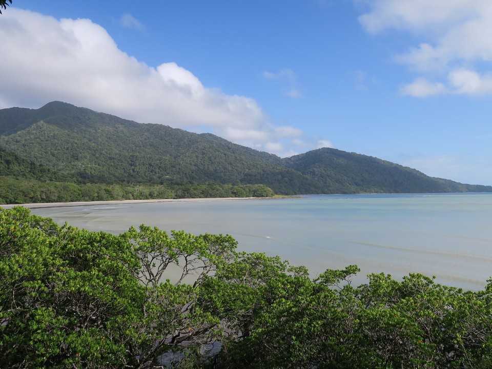 Australia - Daintree - Quand la forêt rencontre la mer