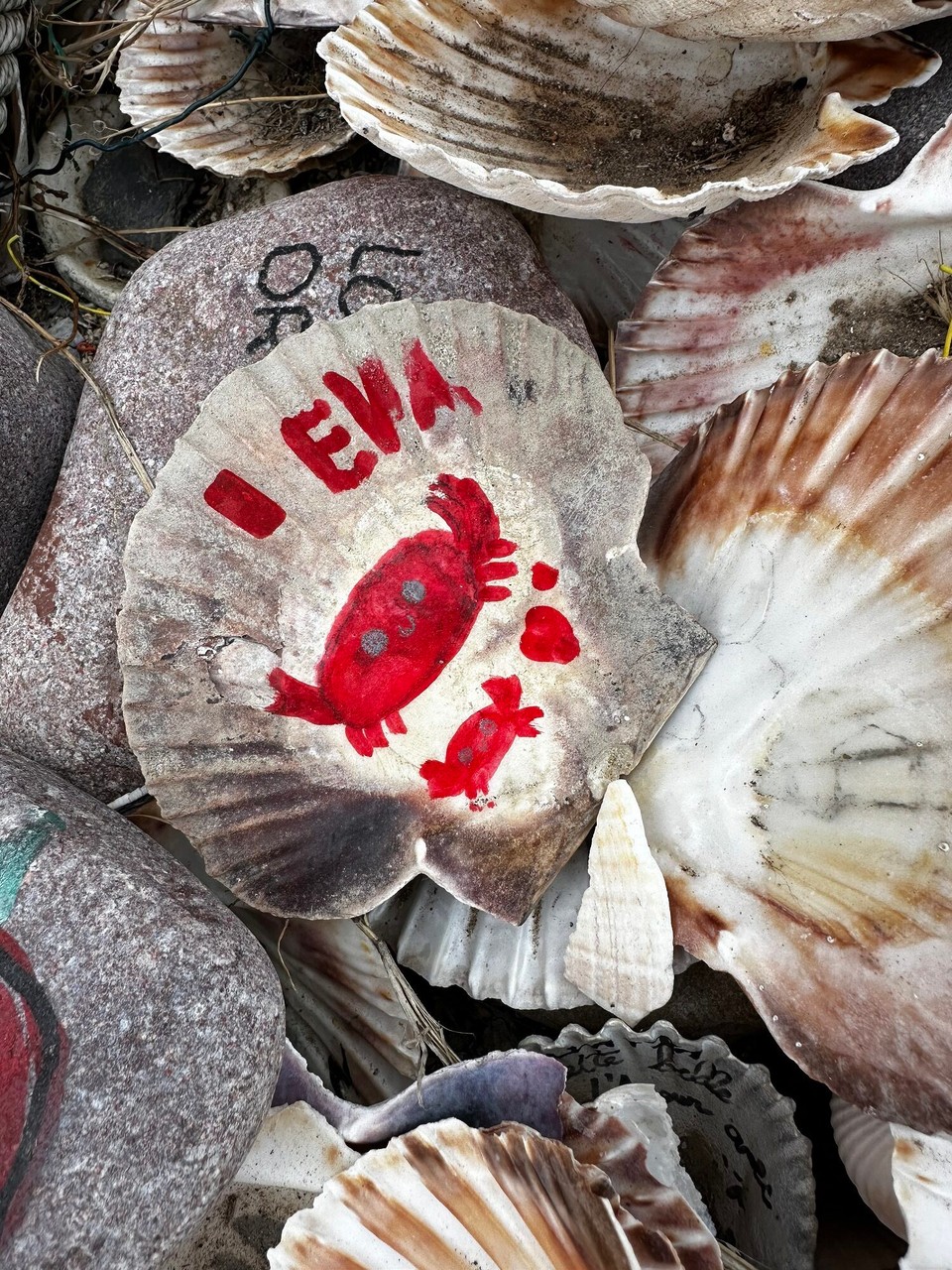 Frankreich - Erquy - 