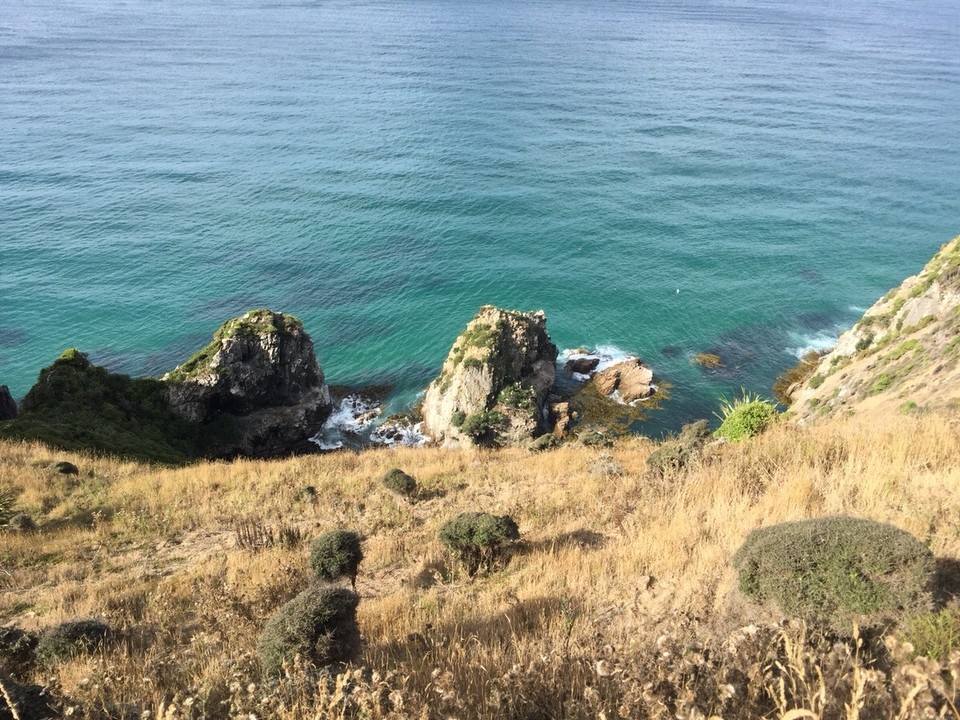 Neuseeland - Kaka Point - Auf dem Weg zum Leuchtturm 