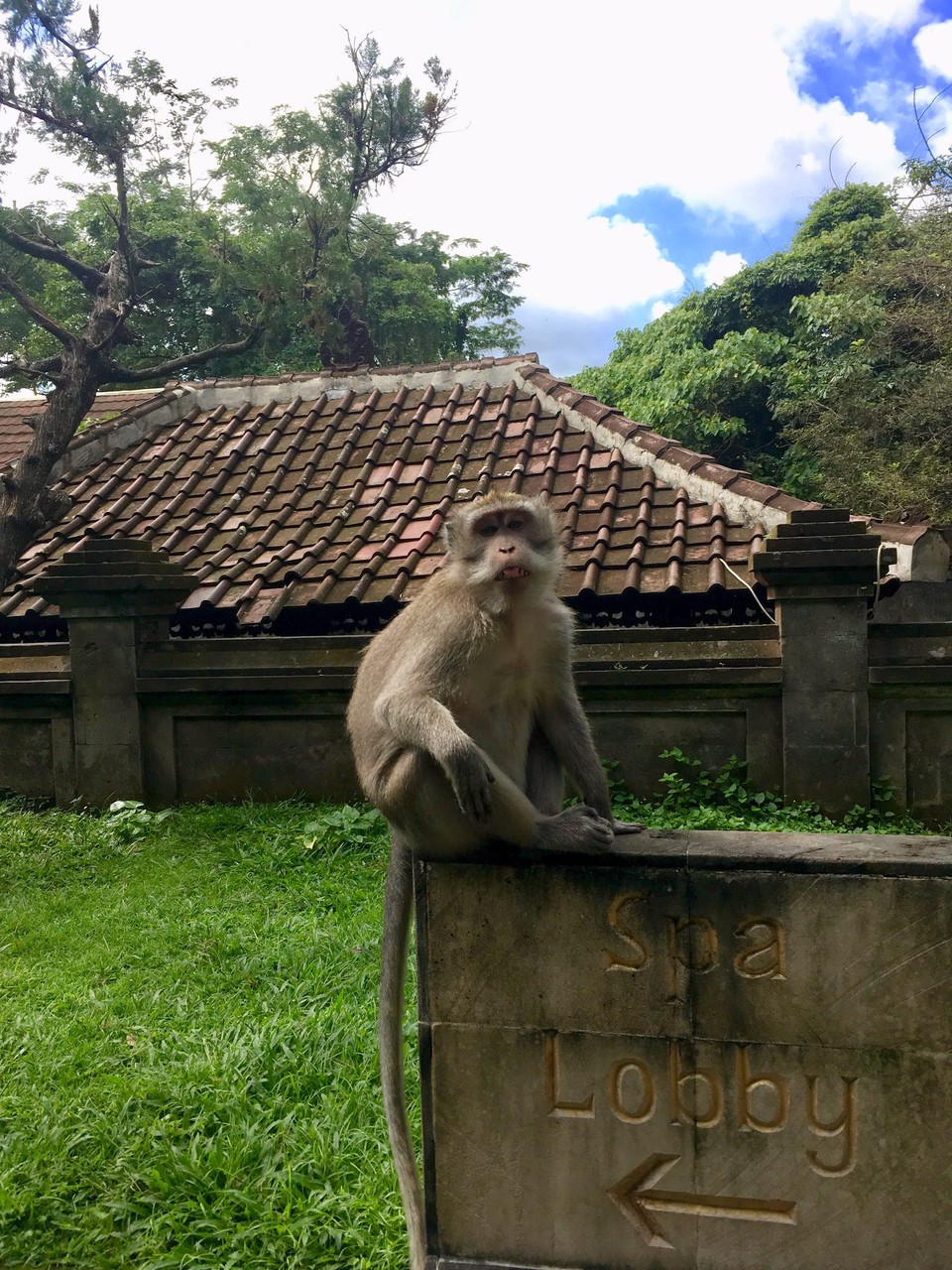 Indonesia - Ubud - 
