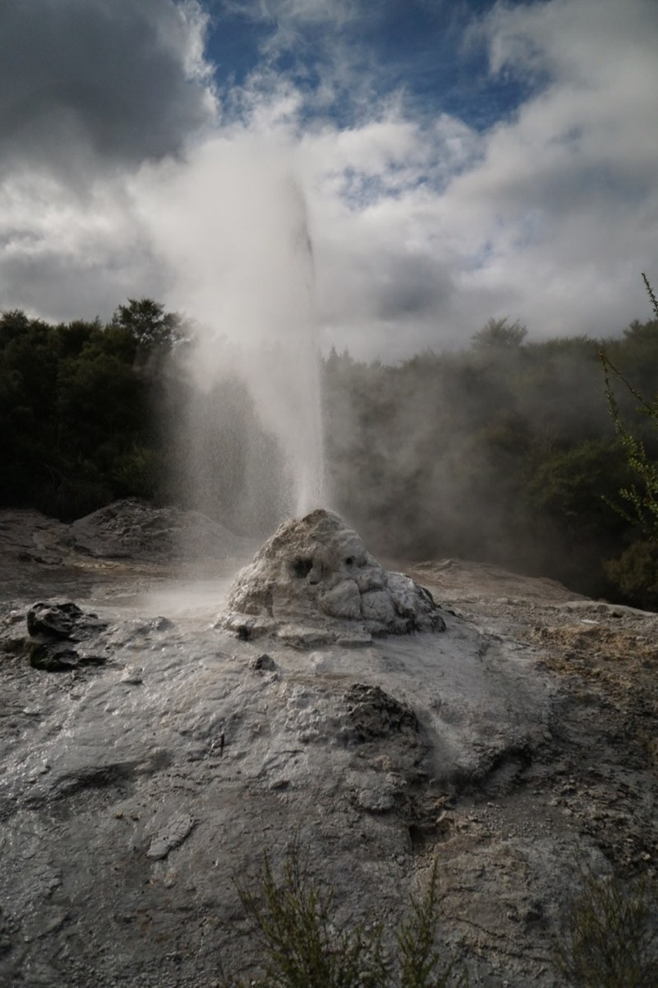 Neuseeland - Hamurana - 