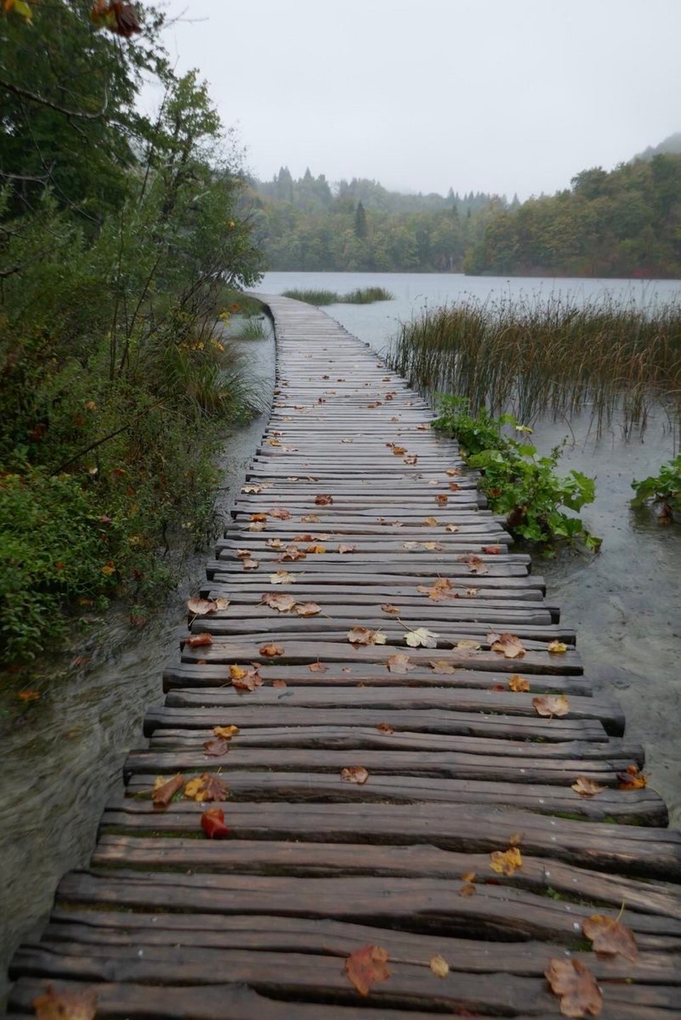 Croatia - Plitvička jezera - 