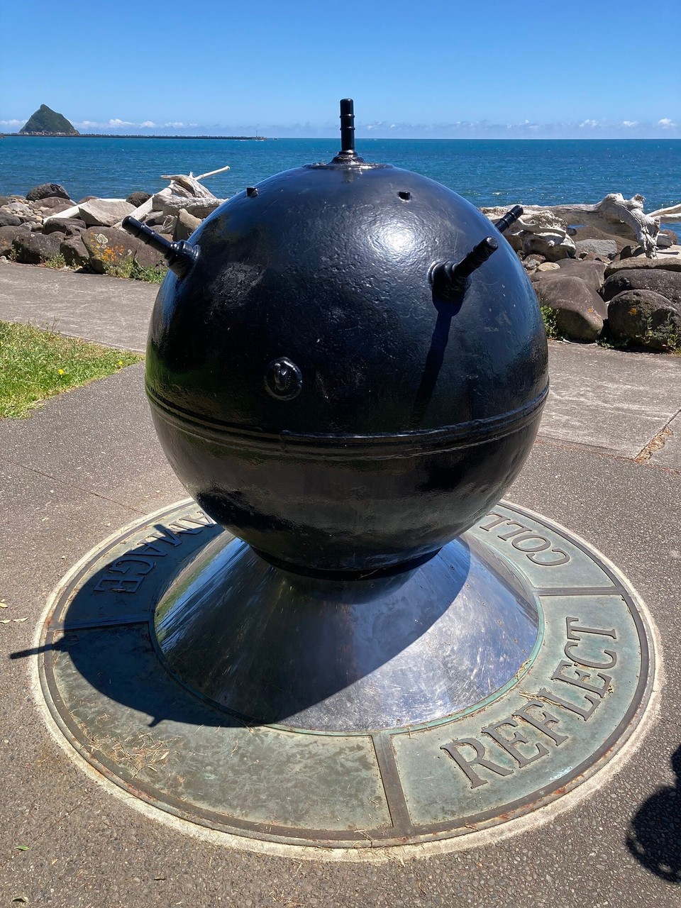 Neuseeland - New Plymouth - Angeschwemmte Seemiene